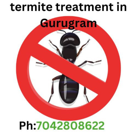 termite-treatment-in-gurgaon-cost-and-price-big-0