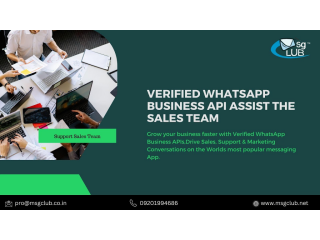 How Does a Verified WhatsApp Business API Assist the Sales Team