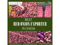 find-best-red-onion-exporter-in-india-small-0