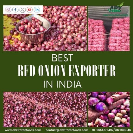 find-best-red-onion-exporter-in-india-big-0