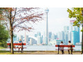 grab-the-discounted-airfares-to-toronto-with-ease-small-0