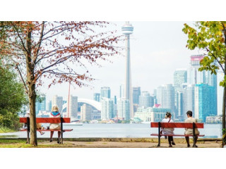 Grab the Discounted Airfares to Toronto with Ease!