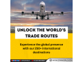 zipaworld-your-top-choice-for-air-freight-air-cargo-and-air-freight-forwarding-services-small-1