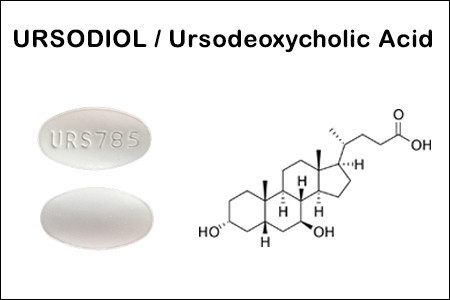 herbs-that-are-safer-alternatives-to-ursodiol-big-0