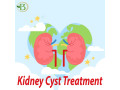 modern-methods-for-treating-and-managing-kidney-cysts-with-renal-resilience-small-0