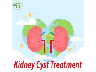 Modern Methods for Treating and Managing Kidney Cysts with Renal Resilience