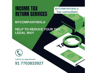 Income Tax Return Services | Income Tax Return filing in Delhi