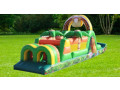inflatable-bounce-house-rental-in-georgia-small-1