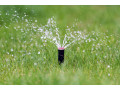 evergreen-sprinkler-and-landscaping-services-small-3