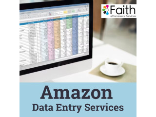 Fecoms Amazon Data Entry Services Makes your Business Successful
