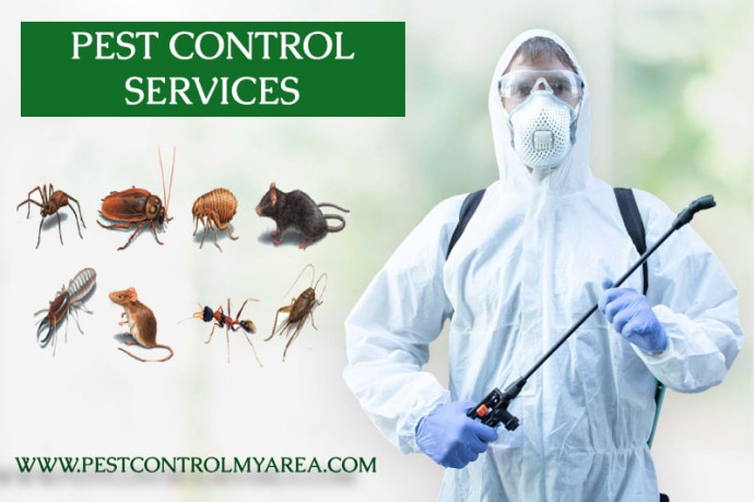 how-to-get-pest-control-my-area-big-0