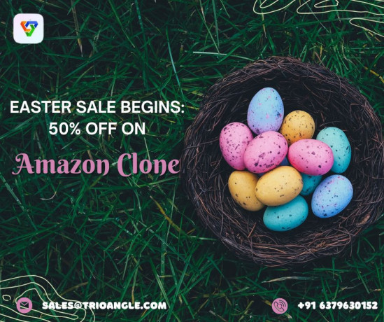 easter-sale-begins-50-off-on-amazon-clone-big-0