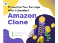 streamline-your-earnings-with-a-standard-amazon-clone-small-0