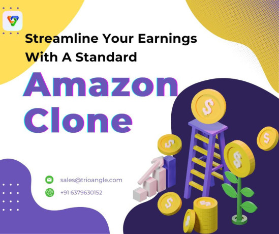 streamline-your-earnings-with-a-standard-amazon-clone-big-0
